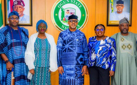 Tinubu to unveil cotton factory in Ogun — Abiodun