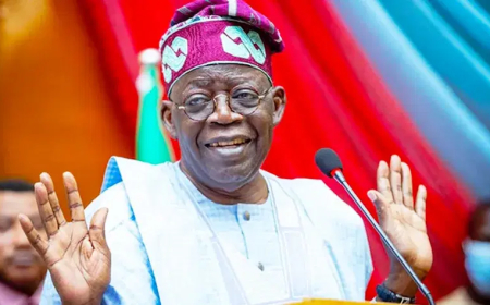 Tinubu not running Yoruba govt, Afenifere declares