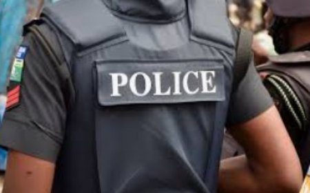 Three policemen detained as Bauchi suspect dies in custody