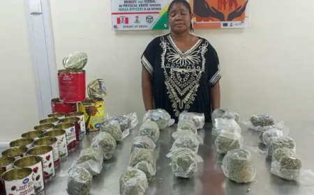NDLEA uncovers drugs hidden in chocolate tins, seizes N3.4bn worth of opioids