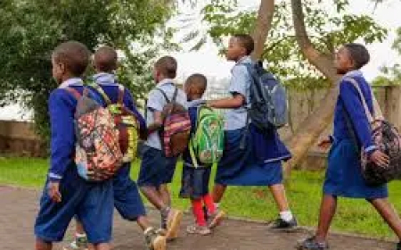 As prices of school bags soar: Parents now go for locally made backpack