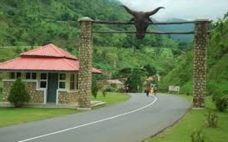 4 seminarians die in auto-crash at Obudu Ranch bottom hill