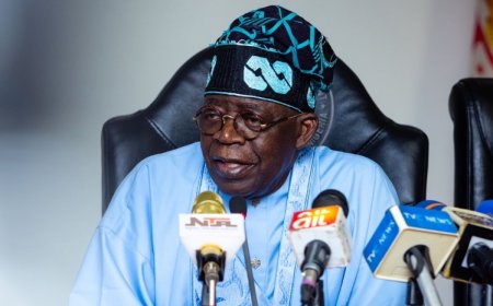 Tinubu to meet Gencos over N4tn electricity debt