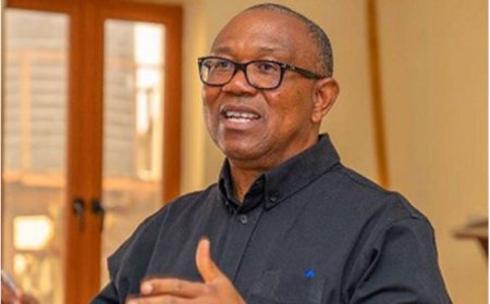 Peter Obi: Poor JAMB results reflect decades of neglect in education sector