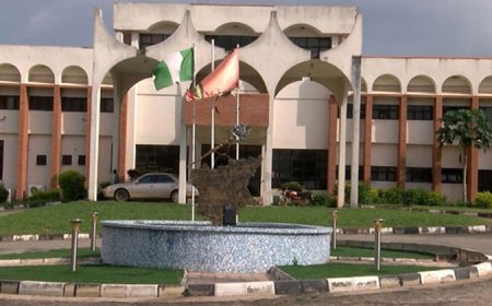 Osun proposes six-month jail or N250,000 fine for public road skating