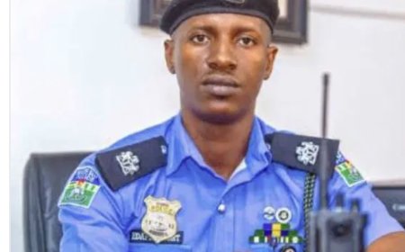 Creepy Murder in Delta Hotels: Another corpse found