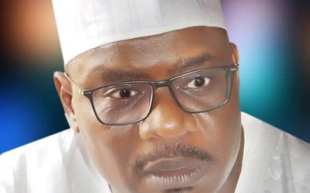Tinubu’s foreign goods ban will boost local production — Ndume