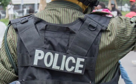 Police nab young wife for alleged husband’s murder in Kano