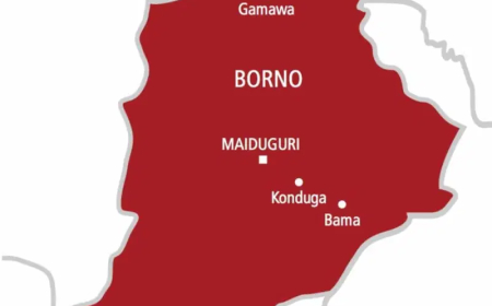 Emir confirms killing of captain, soldier, 3 terrorists in Borno community