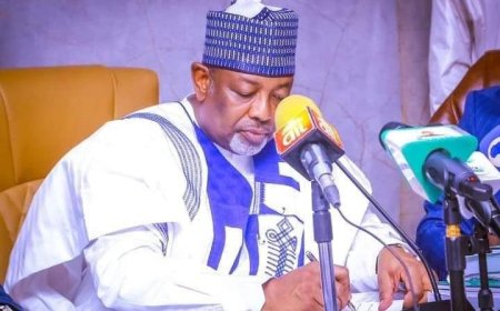 Nigeria loses N1.3bn to tomato ebola in three states – Minister