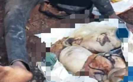 25-yr-old man nabbed in Lagos while transporting human organs for rituals