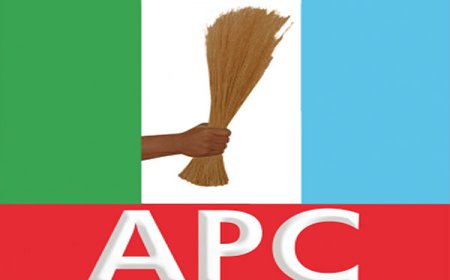 LG poll: Revolt in Lagos APC over imposition
