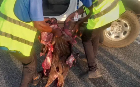 Air Peace aircraft hits antelope on Abuja airport runway, causes flight disruptions