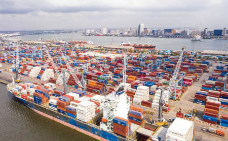 APM Terminals Apapa hits highest export volumes in one month