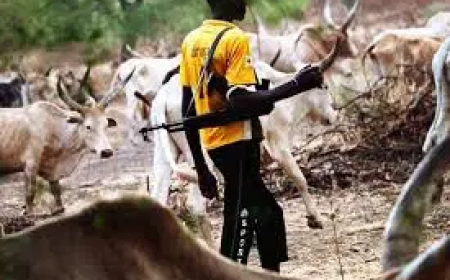 Herders resume attacks on Abavo, kidnap woman, injure 3 vigilante members