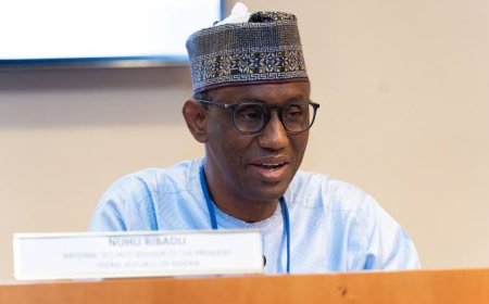 Anti-corruption efforts should shift to prevention – Ribadu