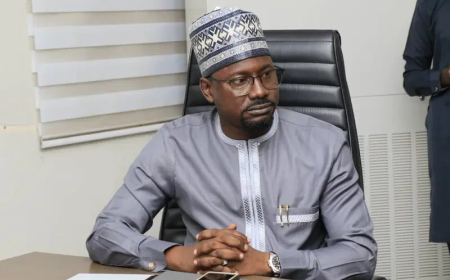 80 million Nigerians lack access to electricity – REA MD