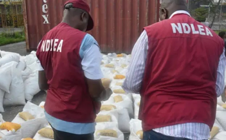 NDLEA arrest fuel tanker stocked with India hemp in Niger