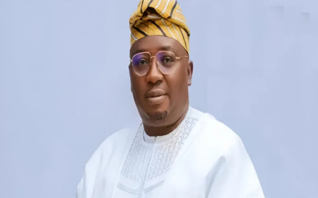 Nigeria needs $10bn annually for stable electricity — Minister