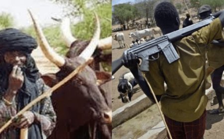 Herdsmen sack 4 Benue LGAs, kill 23