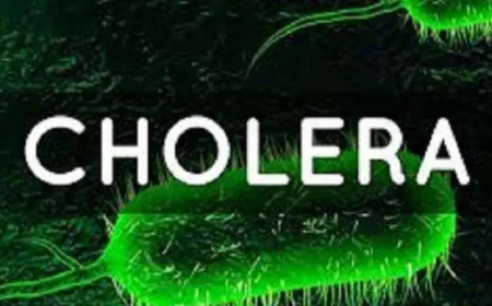 Cholera outbreak: Plateau records 3 deaths, 5 confirmed cases