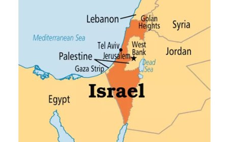 Israeli strikes kill 50 in Palestine