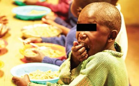 Borno Assembly to criminalise diversion of malnourished children’s food