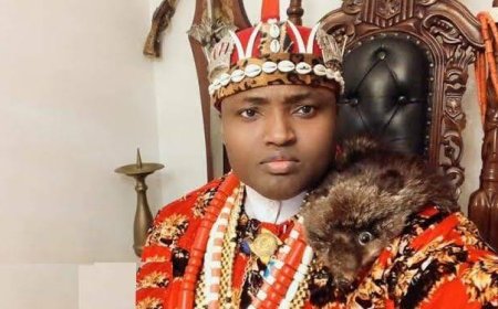 Simon Ekpa faces terrorism charges in Finland