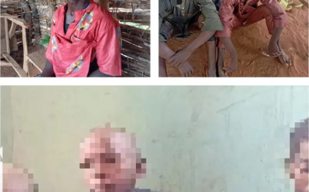 Police arrest 2 suspected kidnappers in Taraba, rescue 7 kidnapped victims in Niger