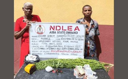 NDLEA nabs 80-yr-old ex-convict, grandma, recovers N3.2bn opioids