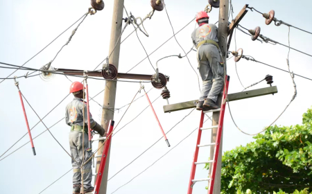 FG’s electricity debt balloons by N800bn – Senate