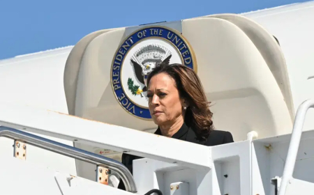 Trump calls to probe Kamala Harris celebrity endorsements