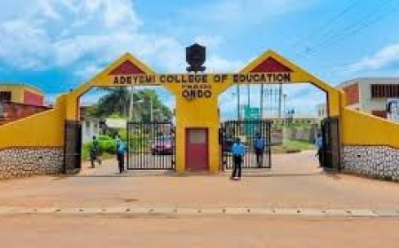 VC urges NELFund to release loans for Ondo federal varsity students