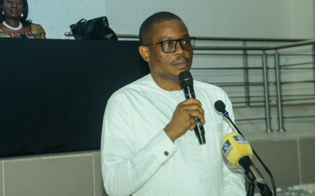 Compulsory voting bill illegal, draconian – NBA