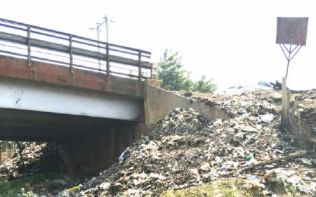 Open defecation, refuse dumps fuel epidemic in Osun’s Owena boundary community (2)