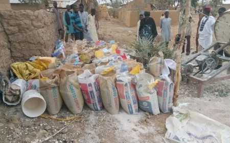Police bust illegal fertiliser factory, arrest five in Bauchi