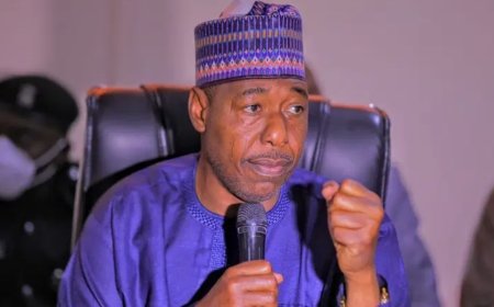 Boko Haram has informants among politicians, soldiers – Borno gov Zulum