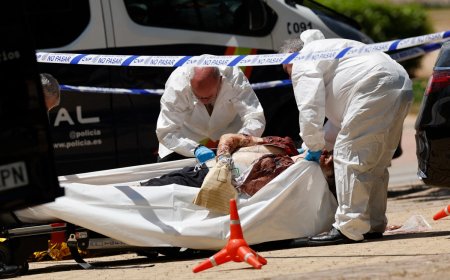 Ex-Ukraine MP with pro-Russian ties assassinated in Madrid