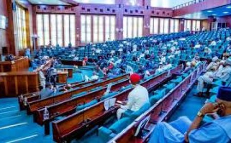 Implement approved pension increment, release withheld palliatives – Reps tell FG