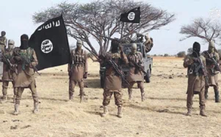 Boko Haram informants among politicians, soldiers —Zulum