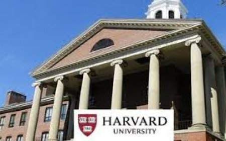 Harvard sues Trump over ban on foreign students
