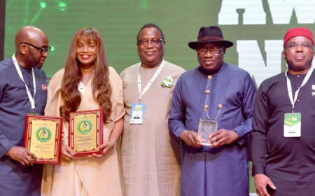 Jonathan, Attah, others win Champions of Nigerian Content awards