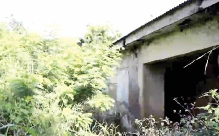 Pregnant Ogun women flee to Benin Republic as healthcare crumbles