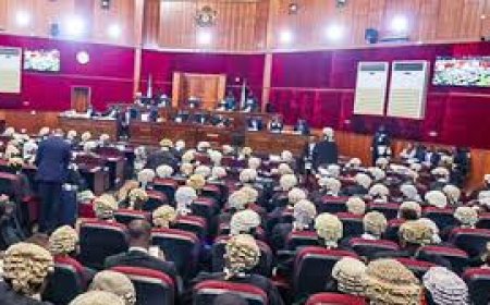 Female lawyers urge end to violence against women