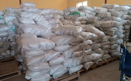 Waivers, smuggling threaten Nigeria’s rice industry – Stakeholders