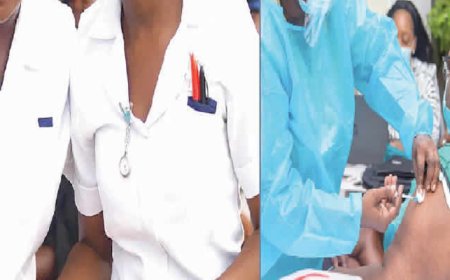 Auxiliary nurses run private hospitals as owners ignore professionals