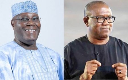 Atiku, Obi arrive Abuja for consultative group meeting