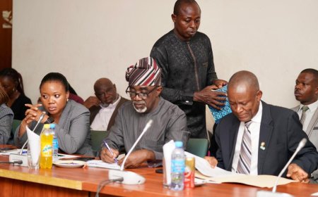 Sugar industry key to Nigeria’s $1tn economy goal — FG