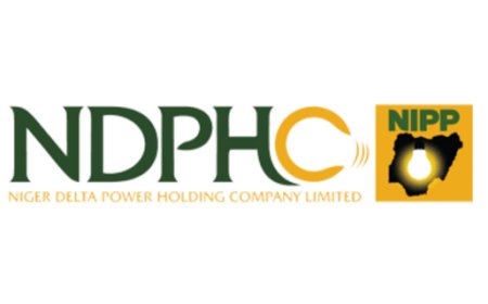 NDPHC decries N600bn electricity debt, stranded 2,000MW