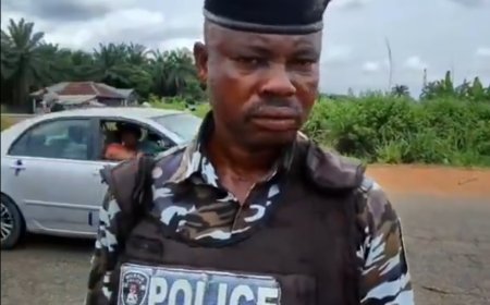Bring N5,000 or five litres of fuel,’ says policeman demanding ECMR in viral video